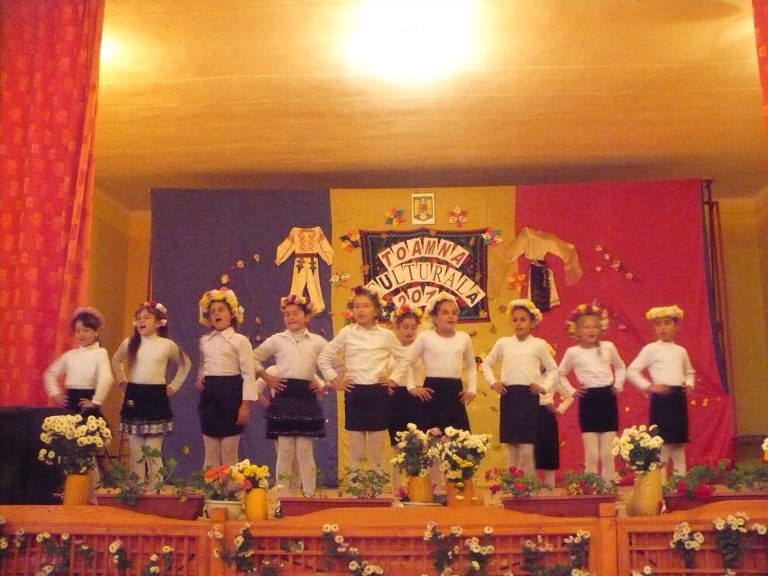 Toamna culturală – 2013